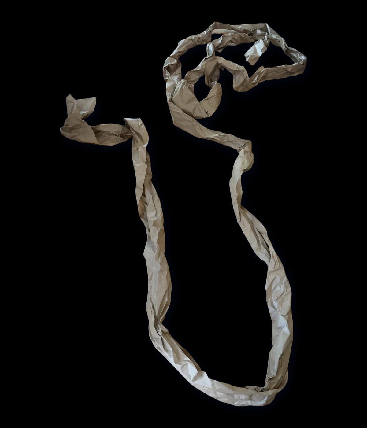 Cardboard Snake, built with packing paper
